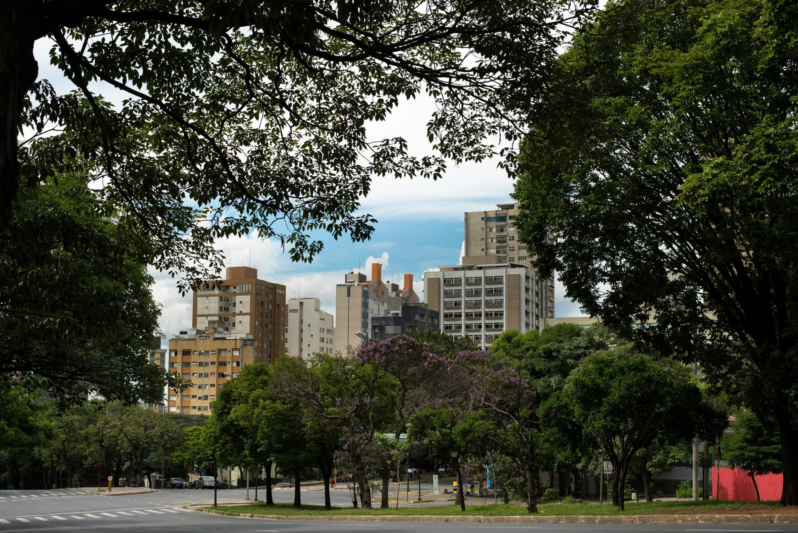 La nuova gestione del verde urbano impone un'evoluzione culturale: l'albero non è più un componente d'arredo statico ma un organismo vivente di interesse pubblico e strategico per la collettività .