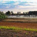 Connettività ecologica: cosa è e perché è importante