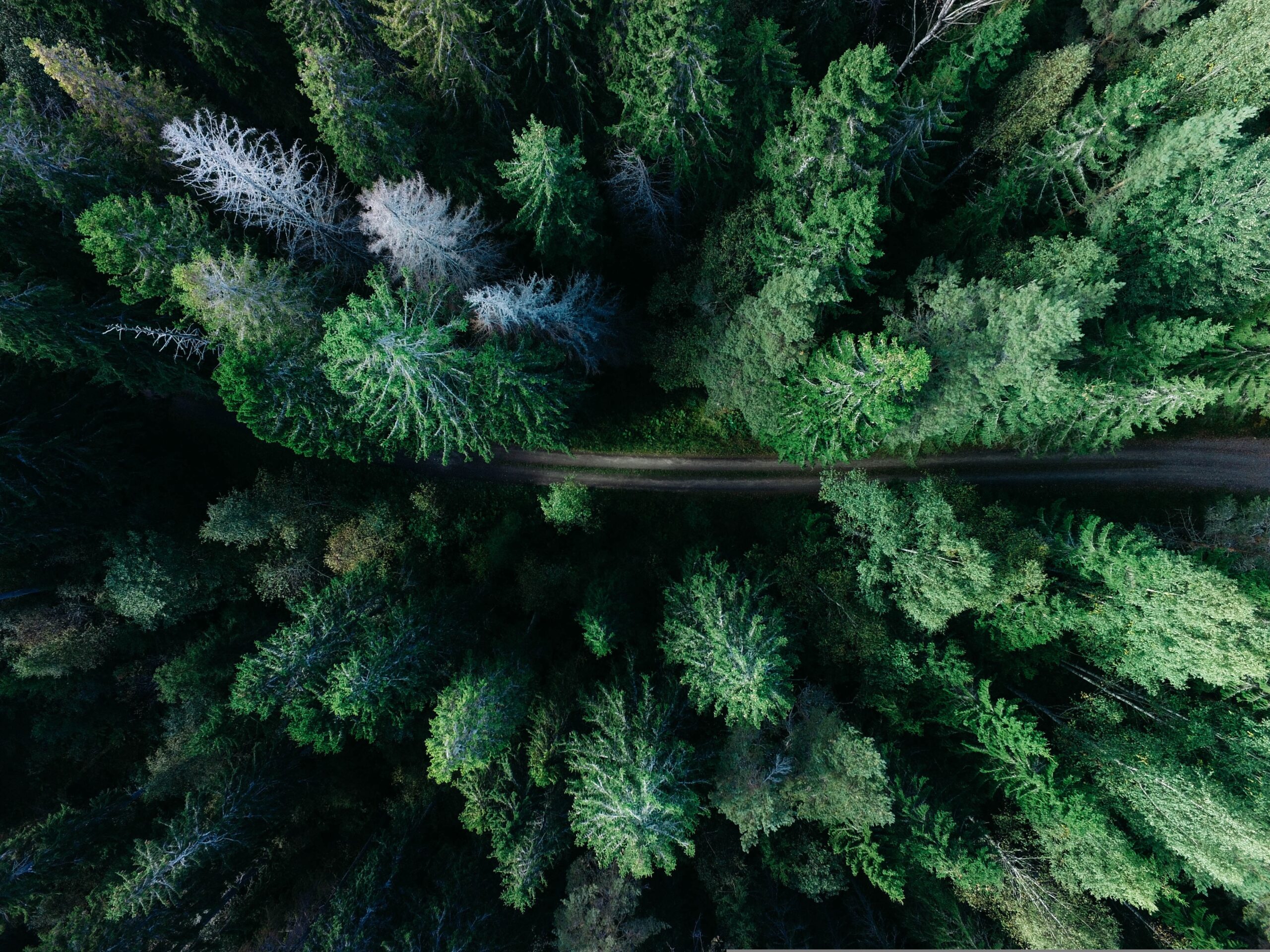 Figura 3 - Ambiente in Italia: fragilità del Territorio e Suolo. 