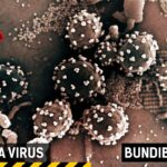 La Peggiore Epidemia di Ebola Bundibugyo