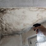 Muffa dal soffitto che non va via: trucco della cognata