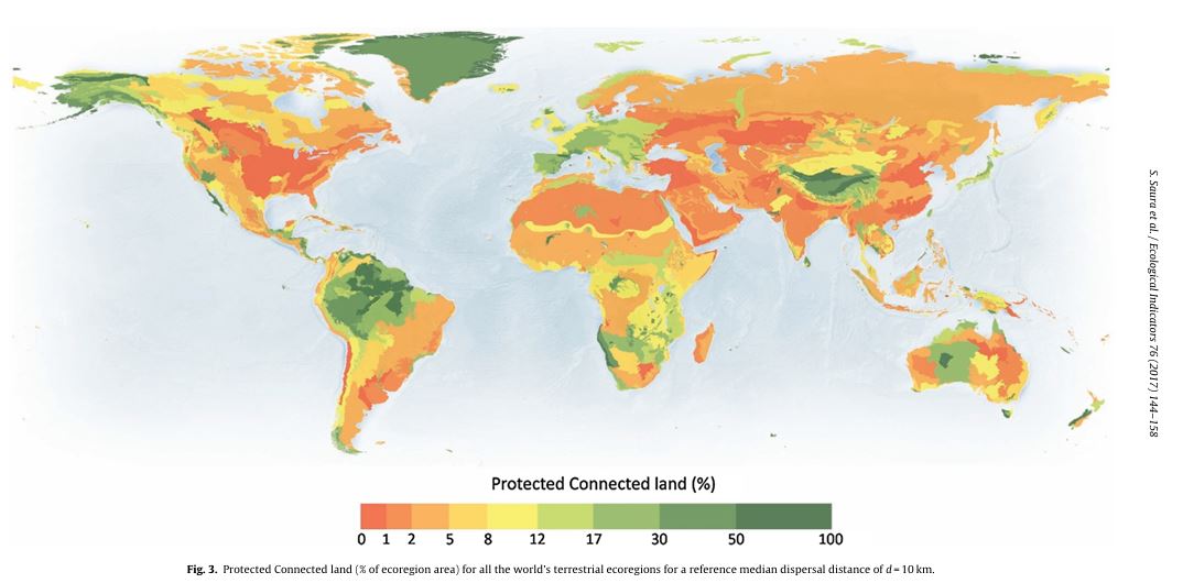 Figura 1 - Mappa Globale della Connettività Ecologica nelle Aree Protette, misurata tramite l'indicatore ProtConn. La scala cromatica evidenzia la funzionalità ecologica del territorio:
Verde: Aree protette ben connesse tra loro. 
Giallo/Arancione: Aree protette con un livello di connessione intermedio. 
Rosso: Aree protette isolate e frammentate, che funzionano come "isole biologiche" e limitano la sopravvivenza a lungo termine delle popolazioni animali. [Fonte: Saura et al., 2016]