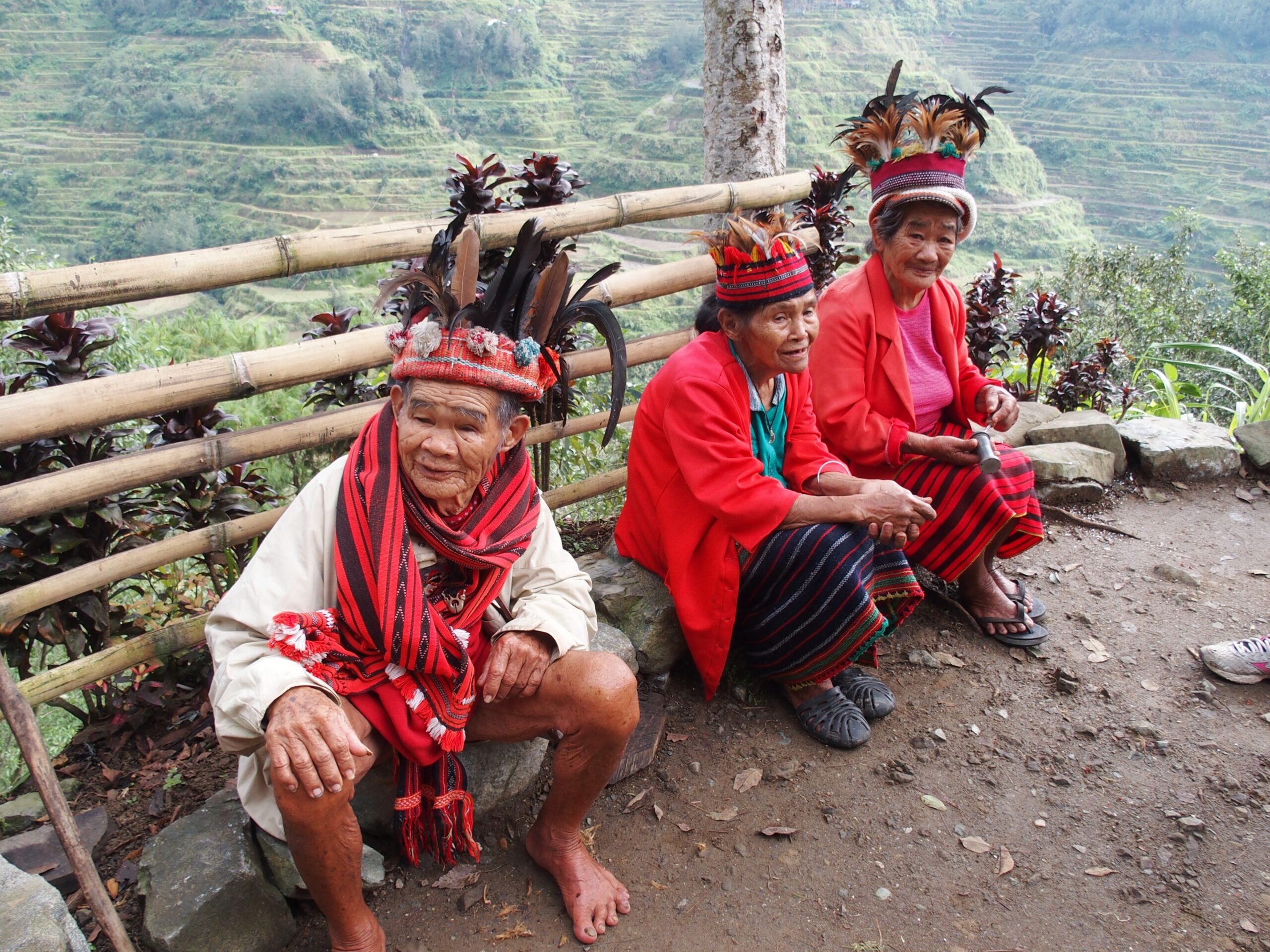 Territori gestiti da popoli indigeni per la tutela della biodiversità globale.