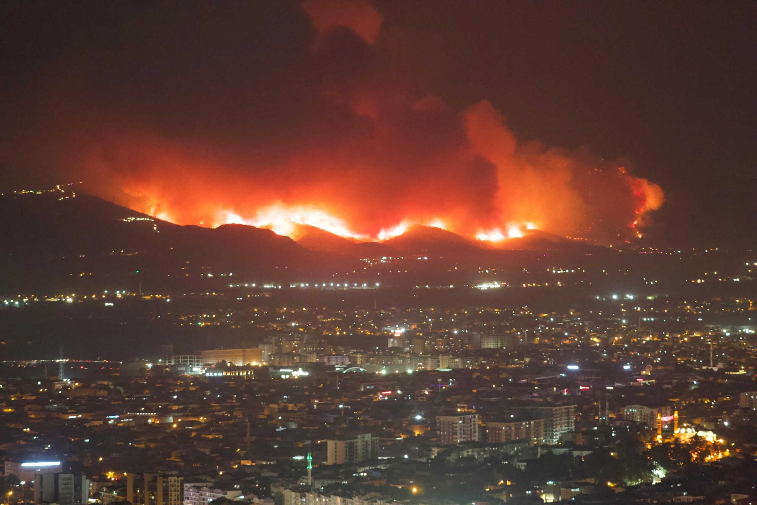 Figura 1 - Il paradosso del caldo: l'Isola di Calore Urbano non altera solo il microclima cittadino, ma inaridisce il suolo circostante, quintuplicando il rischio di incendi boschivi. [Fonte: Pexels.com]
