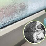 risolvere il problema dell'umidità in casa con il sale grosso