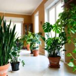 10 modi per rendere casa tua strepitosa con queste 4 piante