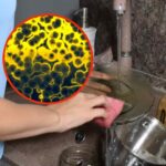 5 oggetti che usiamo tutti i giorni e che non puliamo mai