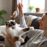 7 giochi con il gatto che riducono lo stress di entrambi