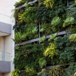 Come Creare un Muro Verde Low-Maintenance