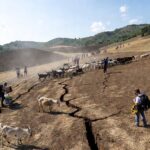 Come capire se sta arrivando il terremoto