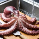 Come pulire il polpo per la cottura passo dopo passo