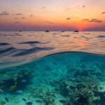 Giornata Mondiale degli oceani ripensare rapporto
