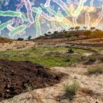Giornata mondiale per la lotta alla desertificazione e alla siccità