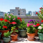 I 3 errori che tutti fanno con le piante in balcone