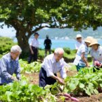 Il Segreto Giapponese per Vivere Fino a 100 Anni con Dieta e Esercizi