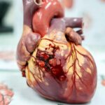 Infarto Fulminante: Cos'è Cause Sintomi Prevenzione e Trattamenti