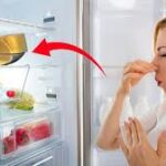 Come Eliminare i Cattivi Odori dal Frigorifero con un Ingrediente Comune