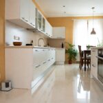 Trappola anti-formiche per una casa senza insetti