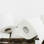 alternativa green alla carta igienica