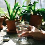 come capire se l'acqua che stai usando per innaffiare le piante è buona