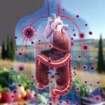 Sindrome cardio-nefro-metabolica