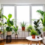 10 piante “detox” che depurano l'aria di casa