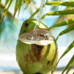 3 Usi Spettacolari dell'Acqua del Cocco