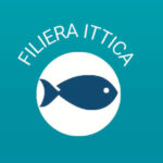 5 strategie per rilanciare la filiera ittica in Calabria
