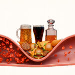 Arterie libere e in salute