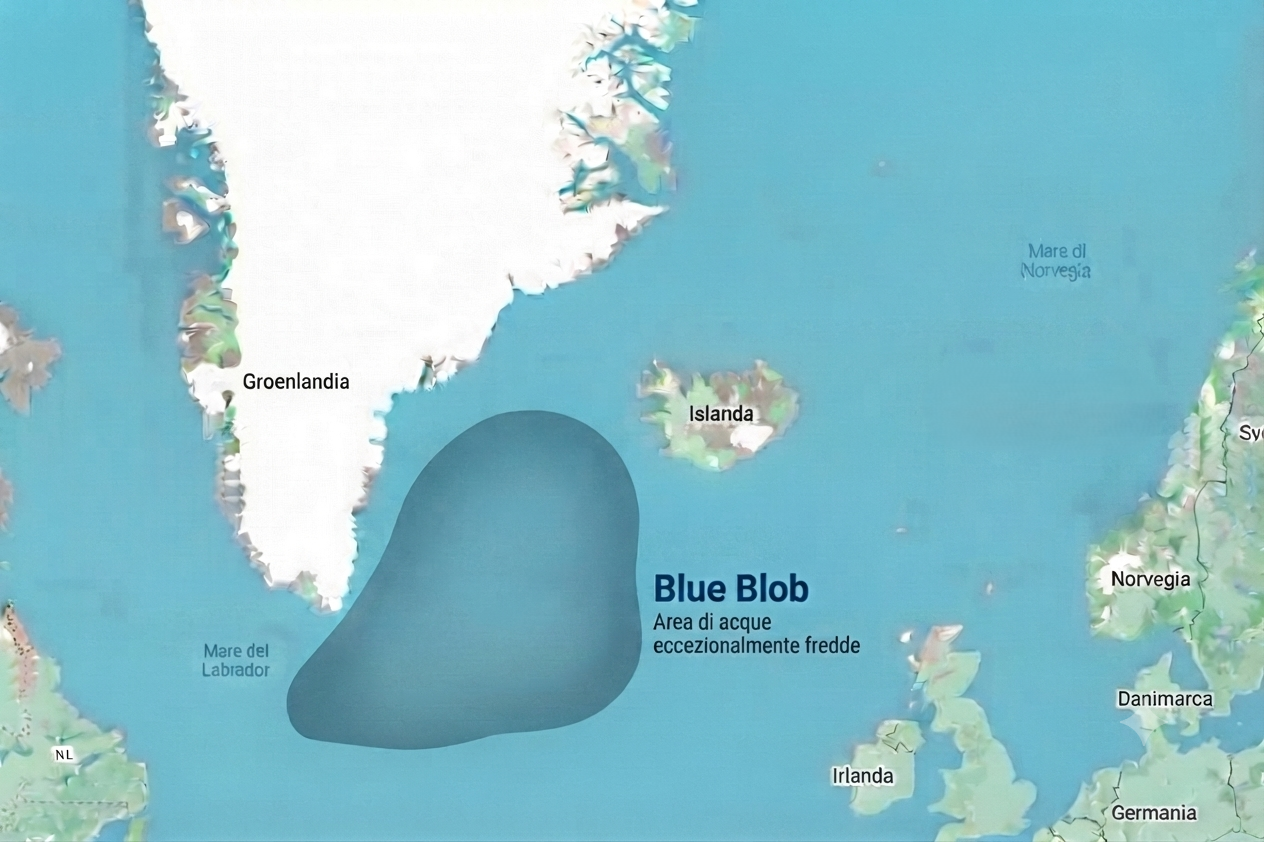 Mappa dell'Atlantico settentrionale che mostra la Groenlandia, l'Islanda e parte dell'Europa; un'ampia area oceanica colorata di blu scuro a sud della Groenlandia è etichettata come "Blue Blob", definita come un'area di acqua eccezionalmente fredda.