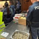 Chiusura di Deposito Alimentare e Sanzioni: Rischi Alimentari