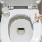 Come eliminare il calcare nero dal fondo del WC usando un solo ingrediente da cucina