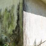 Come eliminare la muffa dalle pareti esterne usando la fisica (e senza chimica aggressiva)