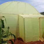 Come migliorare la sicurezza alimentare in Kenya