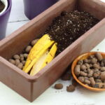 Come preparare un ottimo concime naturale per i tuoi fiori usando le bucce di banana bollite