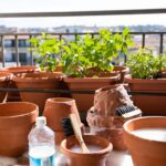 Come pulire e disinfettare i vasi di terracotta prima di trapiantare le nuove piante sul balcone