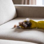 Come rimuovere i peli di cane e gatto dal divano in tessuto usando un semplice guanto di gomma