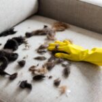Come rimuovere i peli di cane e gatto dal divano usando un semplice guanto di gomma bagnato