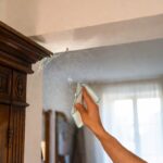 Come rimuovere le ragnatele di ragno in casa senza danneggiare i mobili