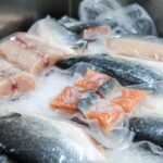 Congelamento del Pesce: quante volte si può congelare?