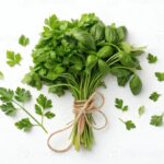 Congelare-prezzemolo-e-basilico