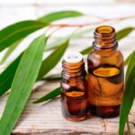 Il trucco con l'olio di eucalipto che aiuta a respingere gli insetti domestici