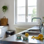 Modi geniali per eliminare i cattivi odori in cucina: strategie microbiologiche efficaci