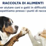 Perché Partecipare a "Diamogli una Zampa"?