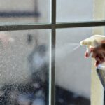 Perché dovresti spruzzare dell'alcol denaturato sulle finestre quando c'è il sole alto