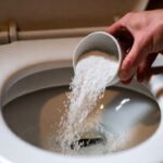 Versa mezza tazza di sale grosso nello scarico del WC prima di andare a dormire: il motivo è geniale