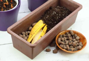 benefici bucce di banana sulle piante