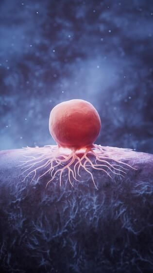 Il cancro non è contagioso
