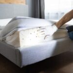 cimici dei letti come sbarazzarsene con metodi naturali