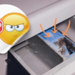 come pulire la vaschetta della lavatrice per evitare muffa